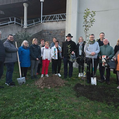 Baumpflanzaktion der katholischen und evangelischen Kirchegemeinde 11.2025 Foto: Carmen Franzmann 