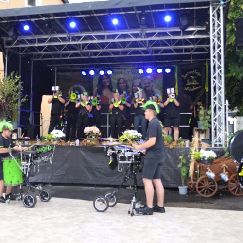 Wildsaufetzter Dannefels 