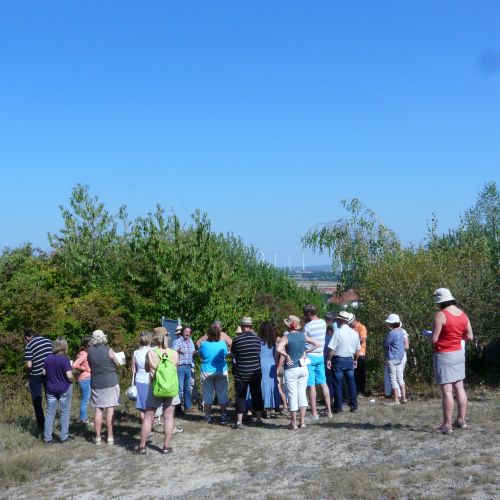 Siefersheimer Sandstrand - Foto: Emmy Frieß 