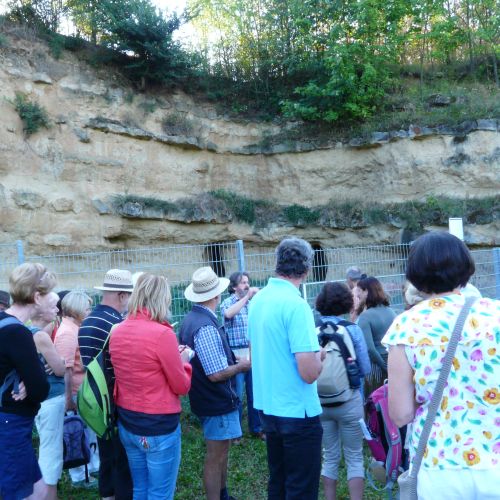 Weinsheimer Trift - Foto: Emmy Frieß 