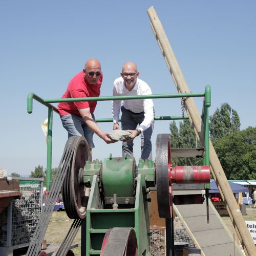 Bulldogfest in Feilbinget 08-2019